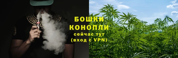 ALPHA PVP Новозыбков