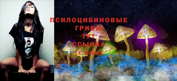 прущие крисы Нязепетровск