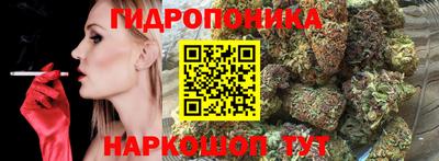 трава Будённовск