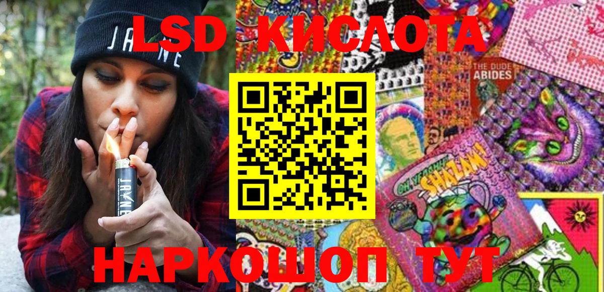 Галлюциногенные грибы Зима