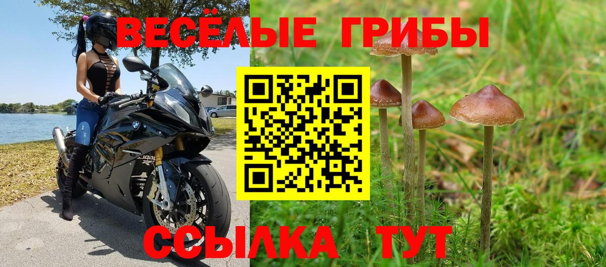 Зима  хочу наркоту  Вход с VPN  Галлюциногенные грибы Magic Shrooms 