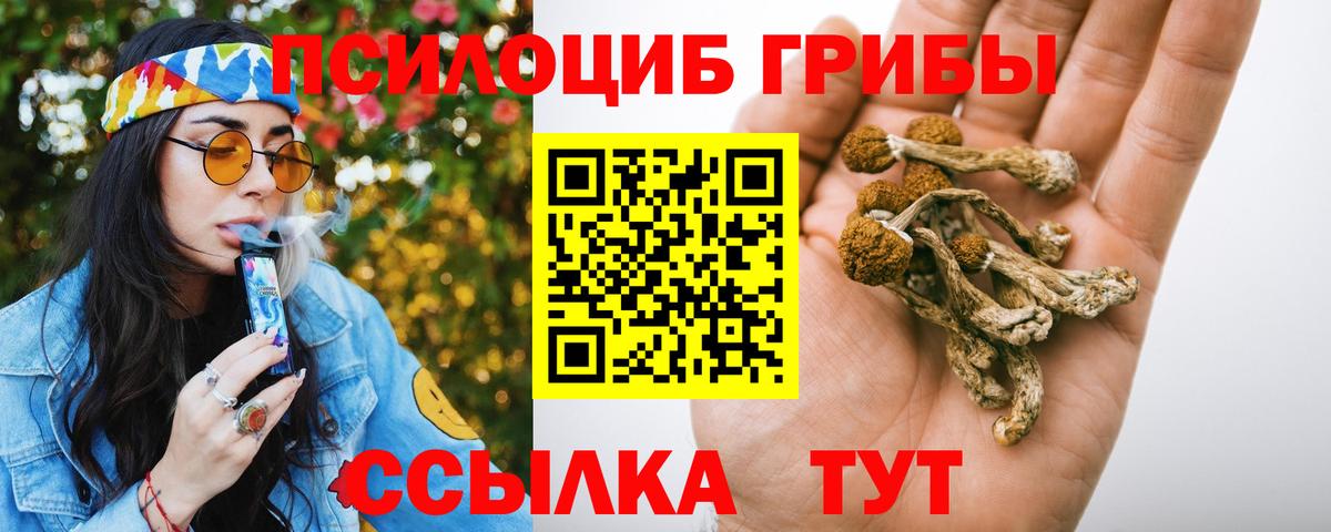 Галлюциногенные грибы ЛСД Зима