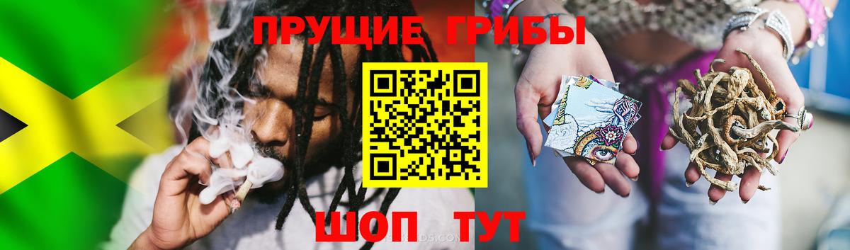 Псилоцибиновые грибы ЛСД  где купить наркотик  Зима 